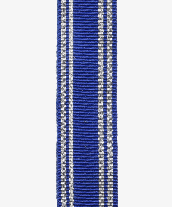 German Reich, NSDAP Long Service Award, 2nd Class in Silver, miniature (450)